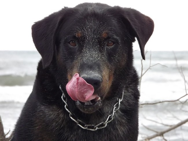 Cash des gardiens kim-just - 4ème Excellent