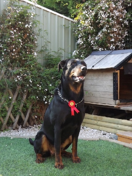 Caïa du Val D'Orezza - 4ème Excellent