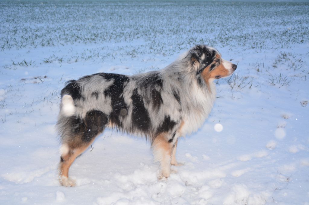 Nouk De La Plaine A Demphis