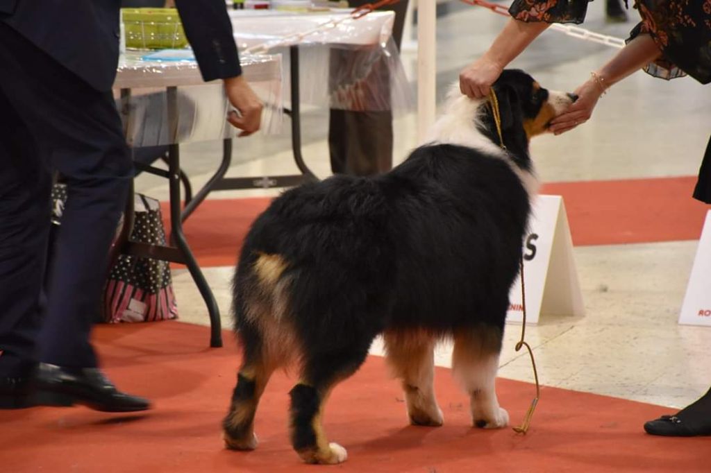 Naiko De La Plaine A Demphis