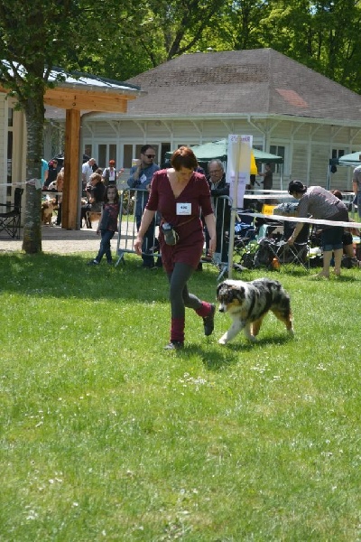 I am a beautiful crazy idea between love jalousy des mazellieres - 1 ere jeune femelle