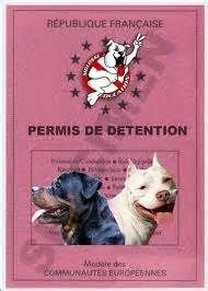 Accueil Elevage Des Amours De Stafford Eleveur De Chiens