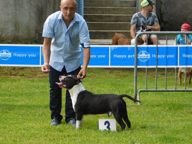 City du Paradis Quercinois - 3ème exc