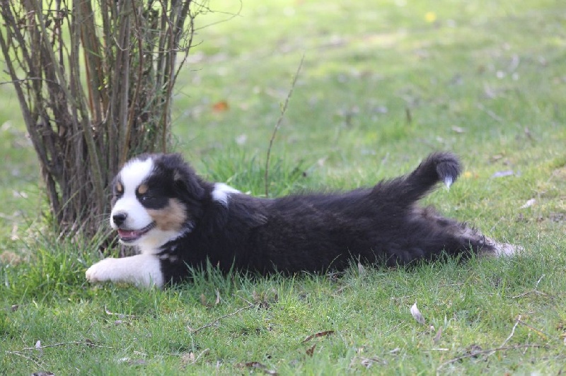 Publication : des Gardiens d'Hadès Auteur : nathalie