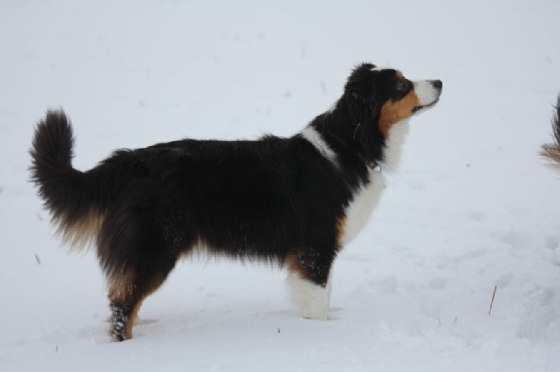Publication : des Gardiens d'Hadès Auteur : nathalie