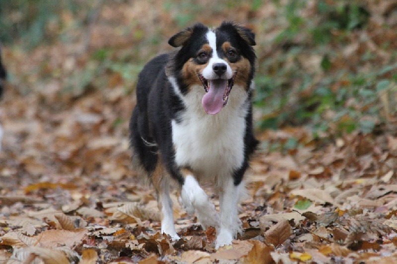 Publication : des Gardiens d'Hadès Auteur : nathalie