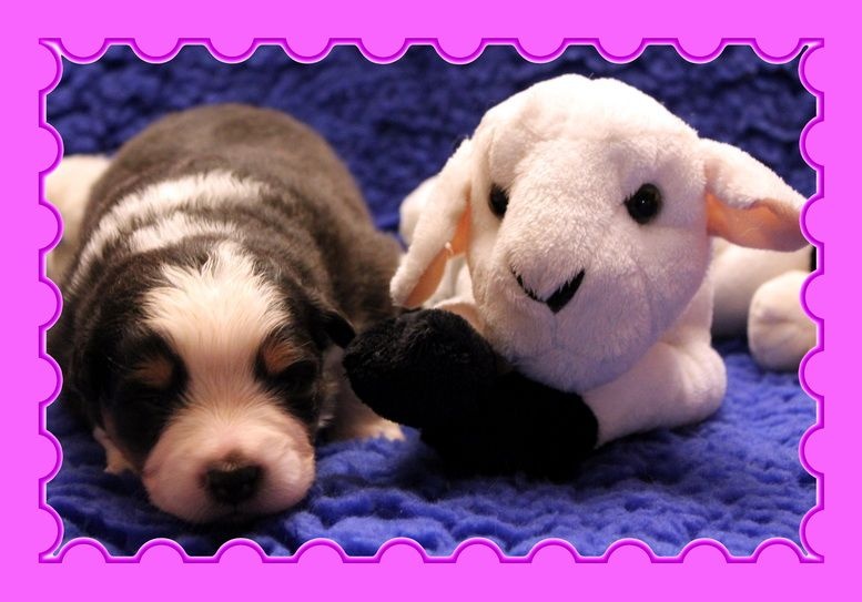 Publication : des Gardiens d'Hadès Auteur : nathalie