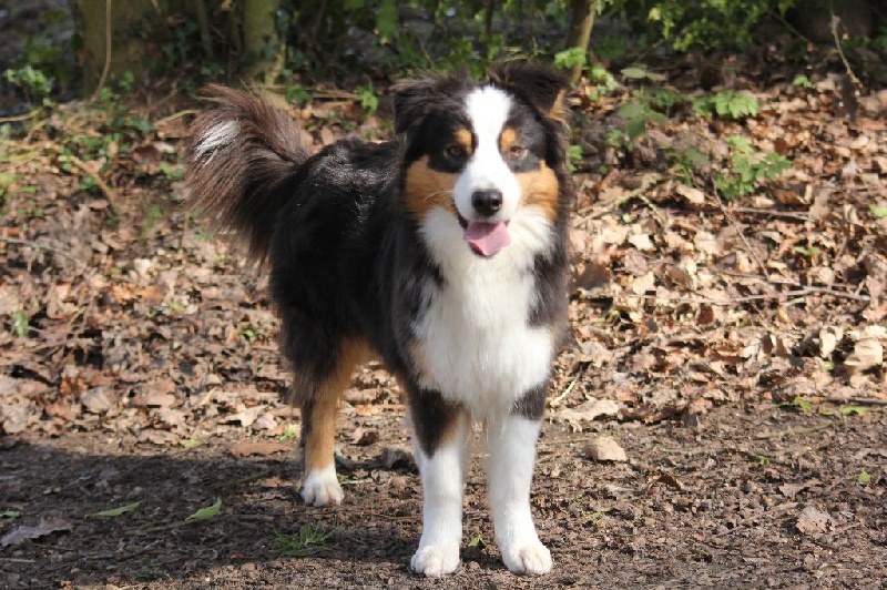 Publication : des Gardiens d'Hadès Auteur : nathalie