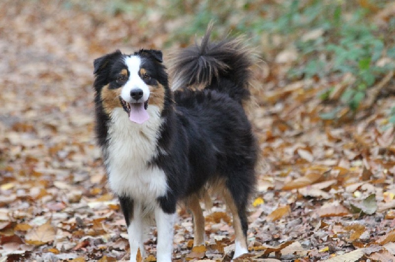 Publication : des Gardiens d'Hadès Auteur : nathalie