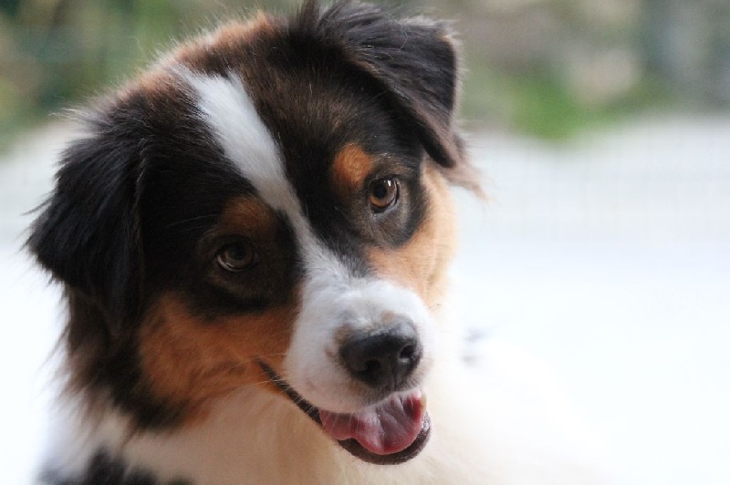 Publication : des Gardiens d'Hadès Auteur : nathalie