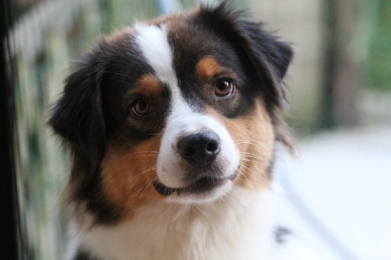 Publication : des Gardiens d'Hadès Auteur : nathalie