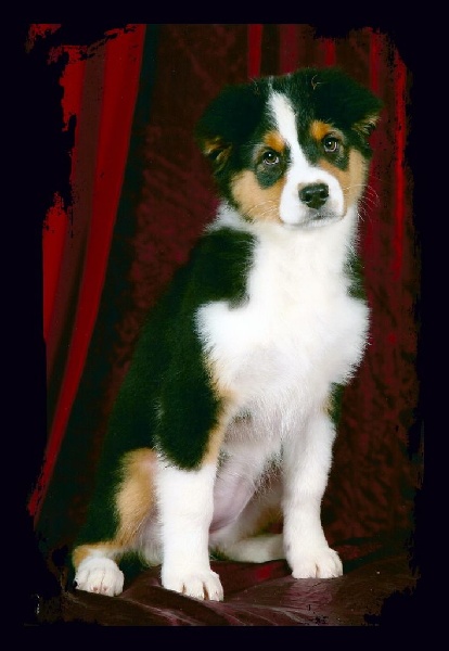 Publication : des Gardiens d'Hadès Auteur : nathalie