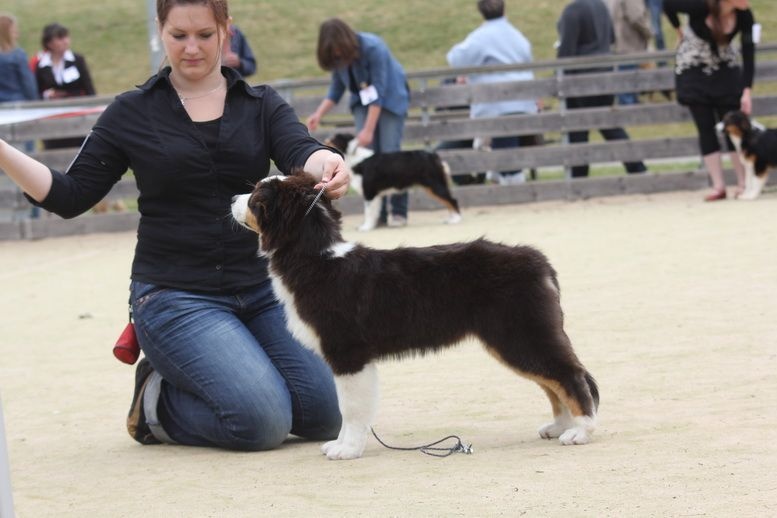 Publication : des Gardiens d'Hadès Auteur : nathalie