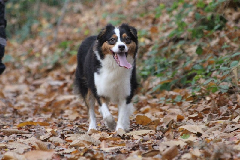 Publication : des Gardiens d'Hadès Auteur : nathalie