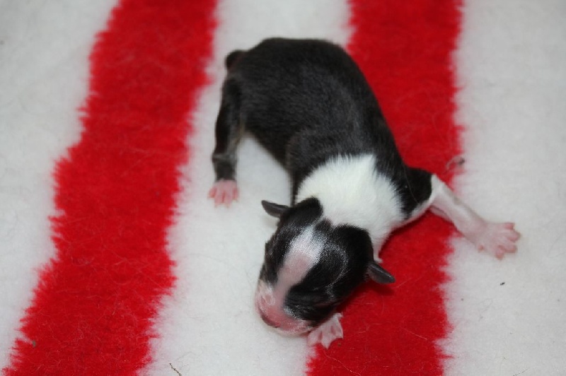 Publication : des Gardiens d'Hadès Auteur : nathalie