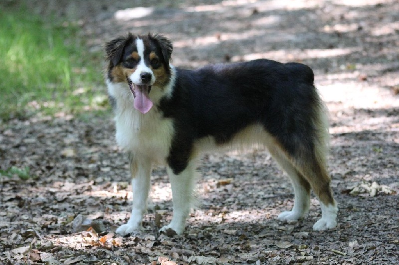 Publication : des Gardiens d'Hadès Auteur : nathalie