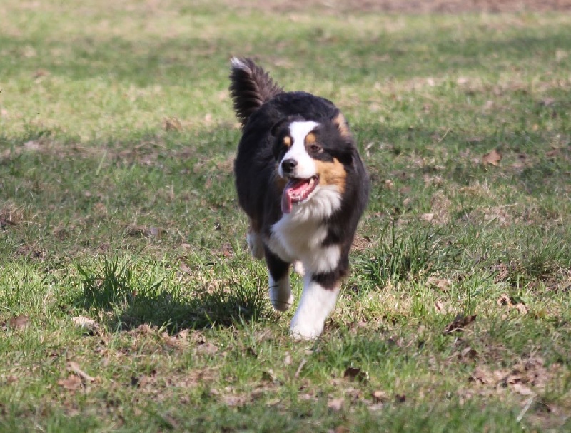 Publication : des Gardiens d'Hadès Auteur : nathalie