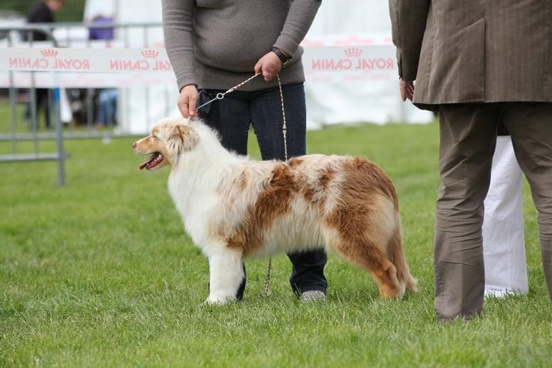 Hapach red tatanka Du Domaine De La Canurie - Très prometteur