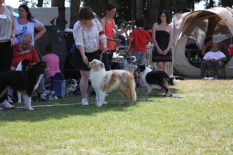 Hapach red tatanka Du Domaine De La Canurie - 3ème excellent jeune femelle