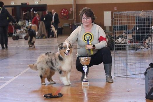 L'talullah blue Du Domaine De La Canurie - 1ère Très prometteur, meilleur baby, meilleur baby expo