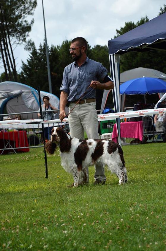 Mad spicy red Of Five O'clock - 1er ex CACS - BOB