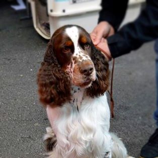 Mad spicy red Of Five O'clock - 3eme excellent