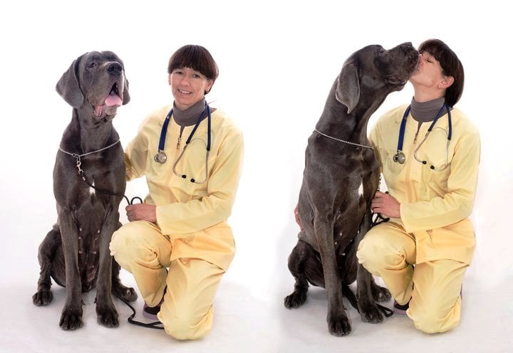 Publication : myszatka Auteur : Mech