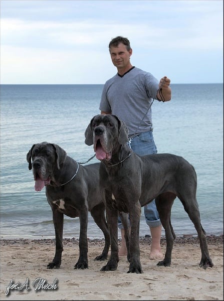 Publication : myszatka Auteur : Mech