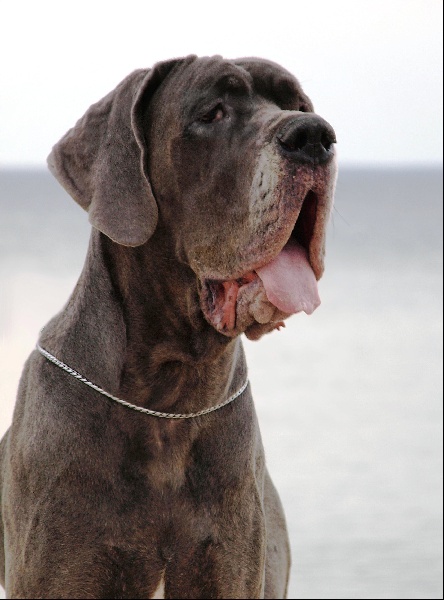 Publication : myszatka Auteur : Mech