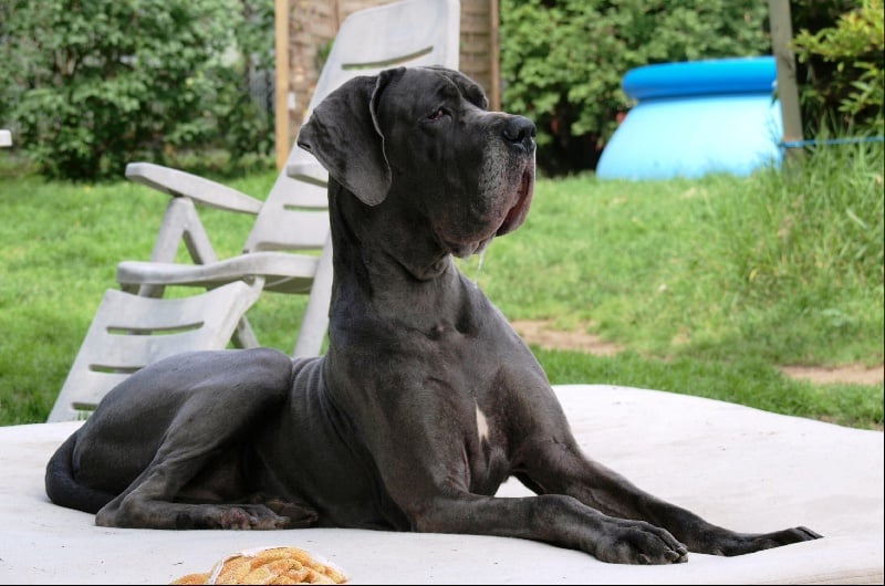 Publication : myszatka Auteur : Mech