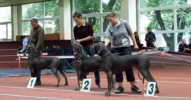 Publication : myszatka Auteur : Mech