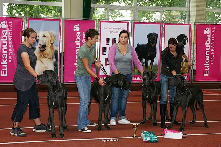 Publication : myszatka Auteur : Mech