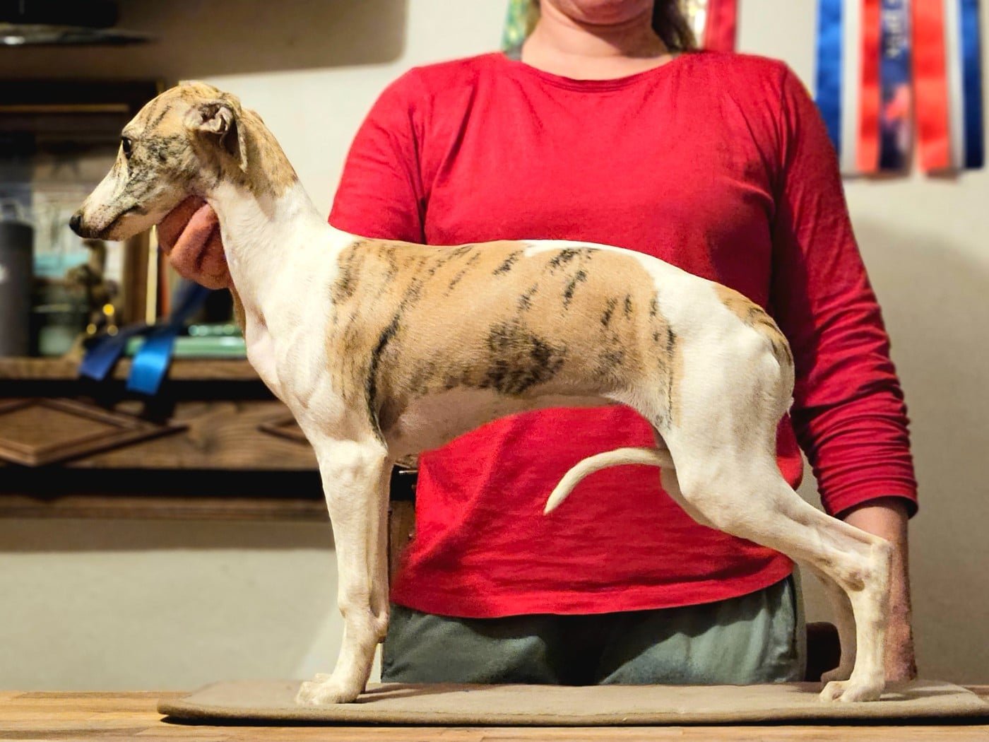 ALTHÉNA STAR ALLIGNED