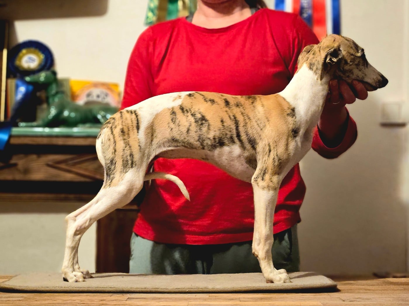 ALTHÉNA STAR ALLIGNED