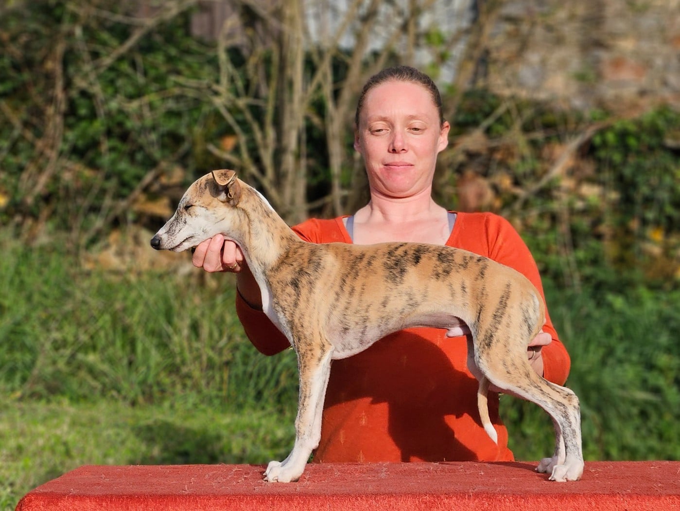 ALRAKIS STAR ALLIGNED