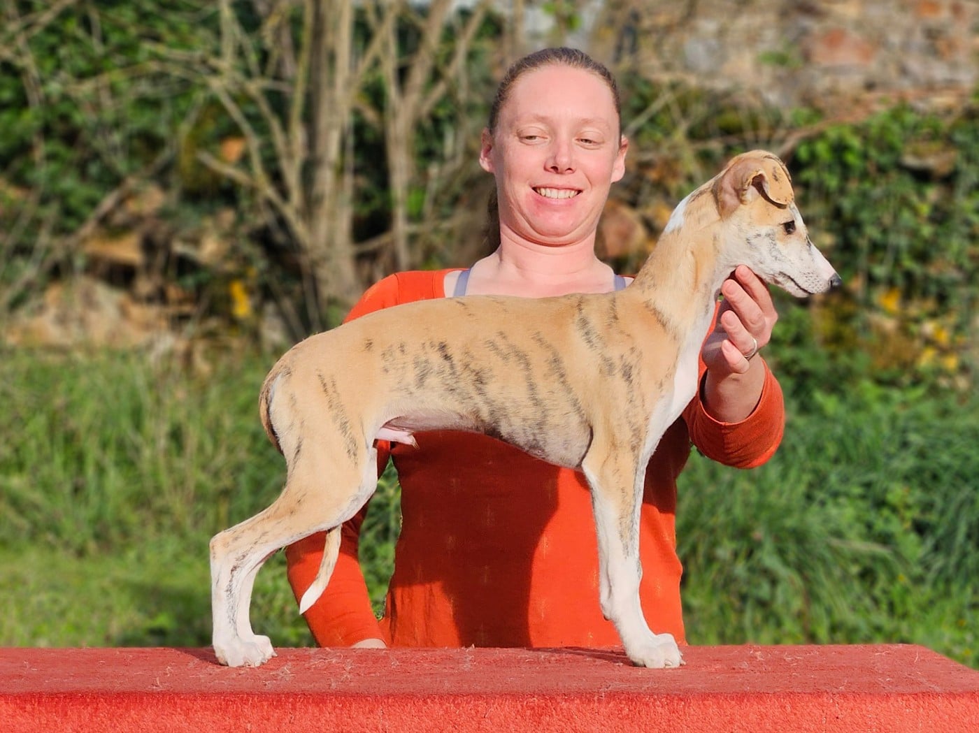 ALRAKIS STAR ALLIGNED