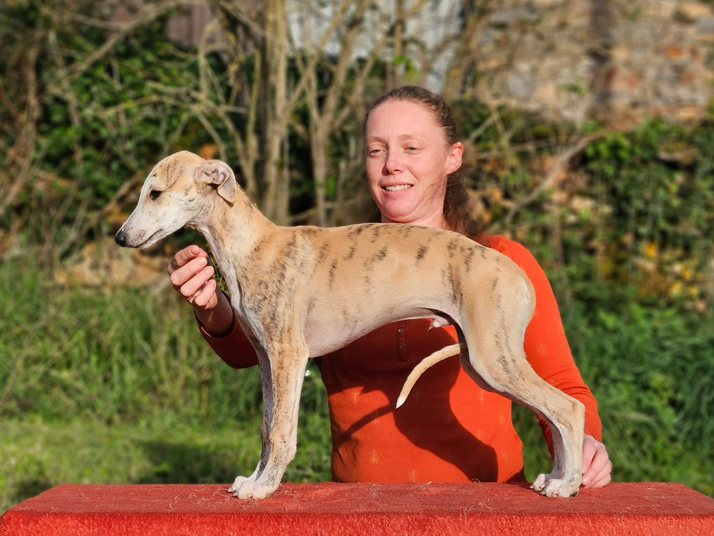 ANTARÈS STAR ALLIGNED