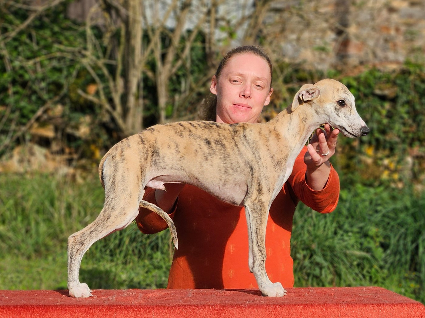 ANTARÈS STAR ALLIGNED