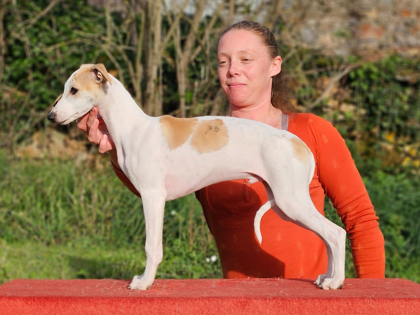 ALTAÏR STAR ALLIGNED