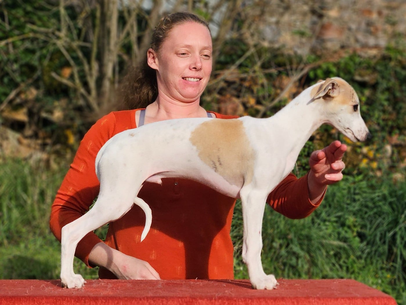 ALTAÏR STAR ALLIGNED