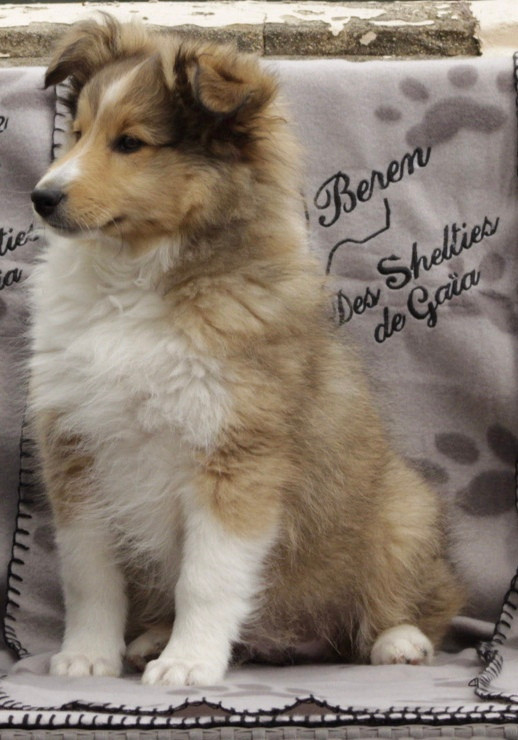 Beren