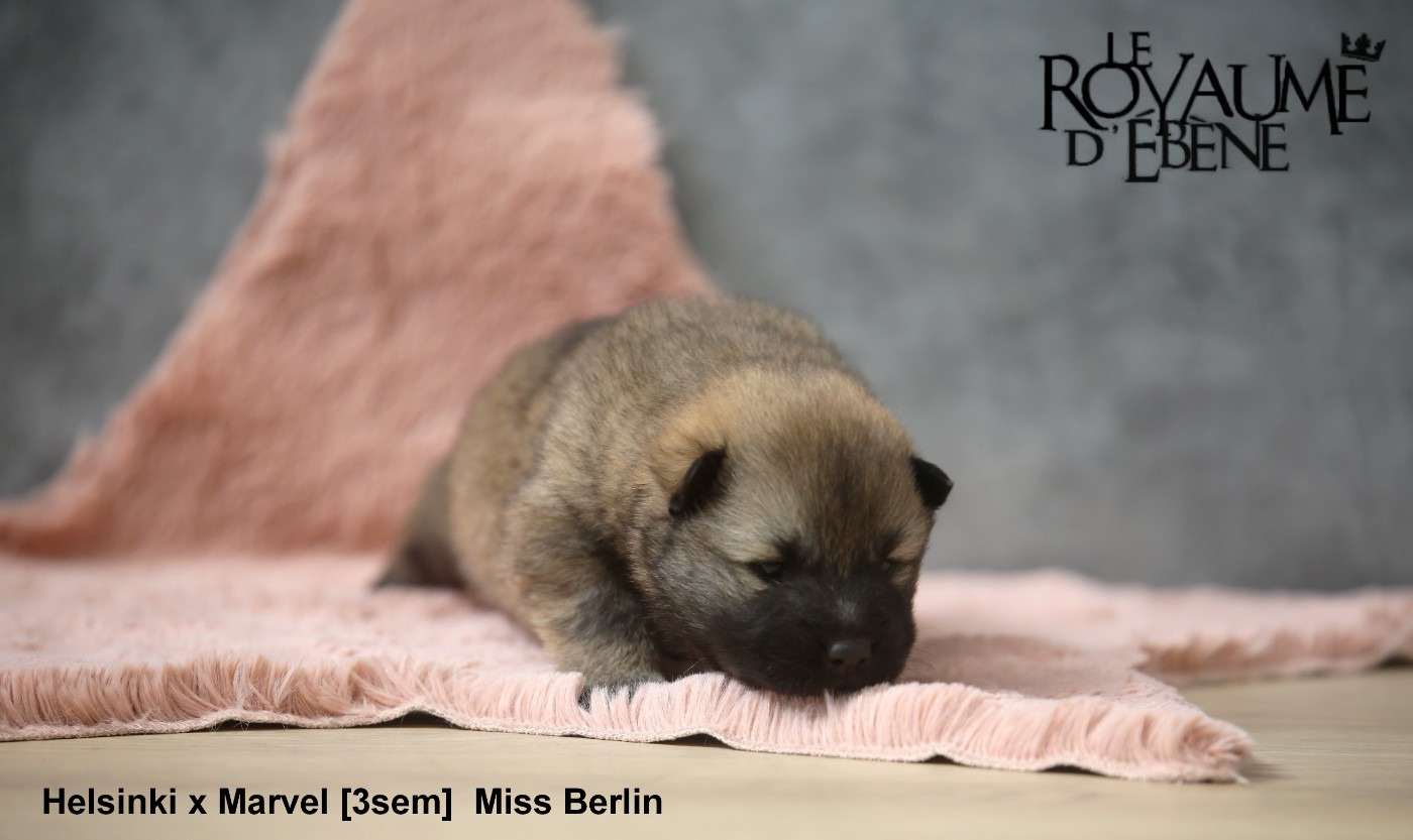 miss Berlin