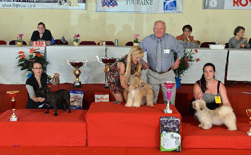 Infiny ? ax'ficus Du Royaume D'ebène - MEILLEUR JEUNE - 3ème du groupe 9