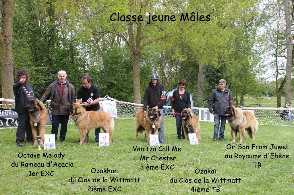 Call me chester vanitza - 3eme EXCELLENT