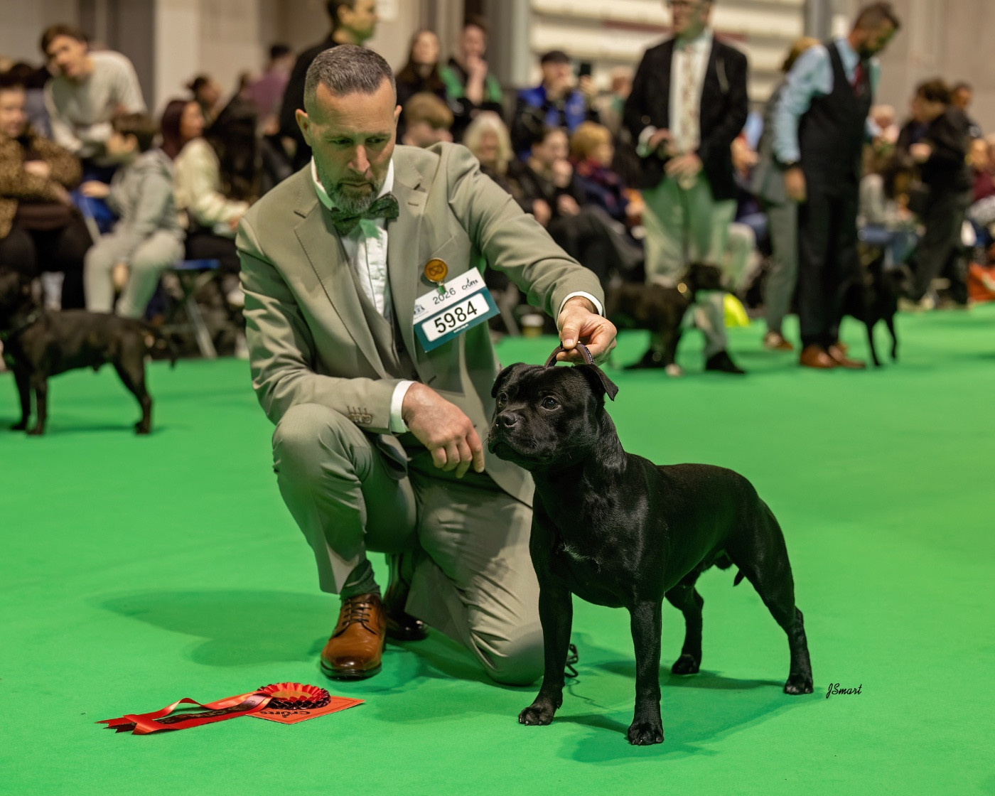 Waywardstaff Volens nolens - 1er Yearling Dog