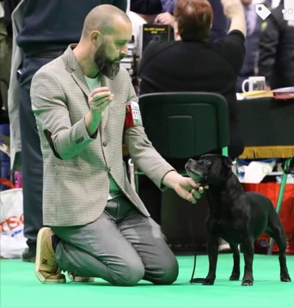 CH. Silver Cross Elvira dark profile - 5ème VHC