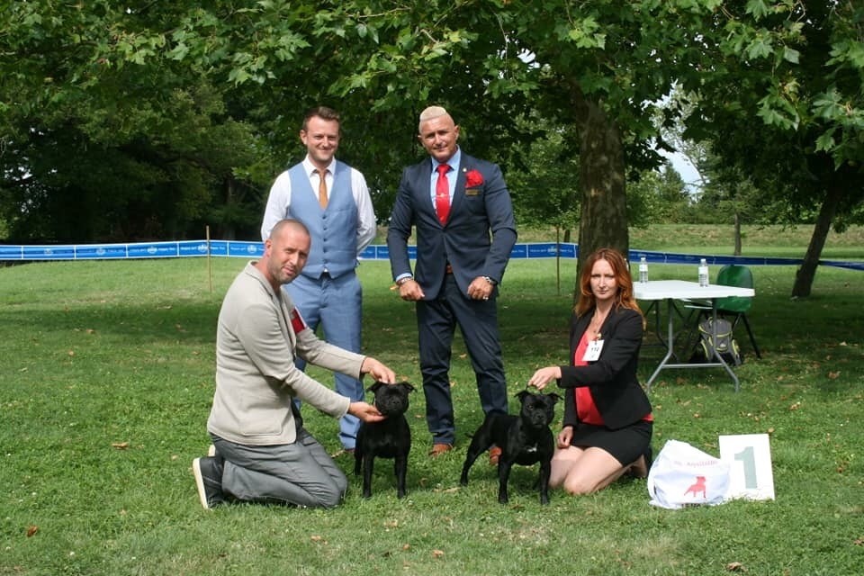 CH. samross Making dreams (import uk) - Classe jeune femelle: 2eme exc/15 + Rcaccj