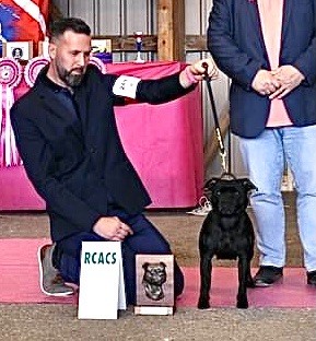 CH. samross Making dreams (import uk) - 1ER/45 + RCACS