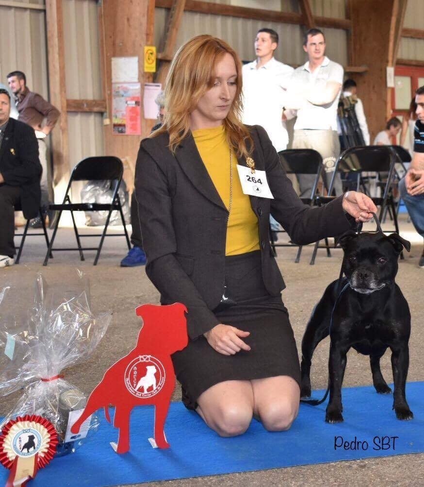 CH. Silver Cross Elvira dark profile - 1ère classe Vétéran -Ch de France Vétéran