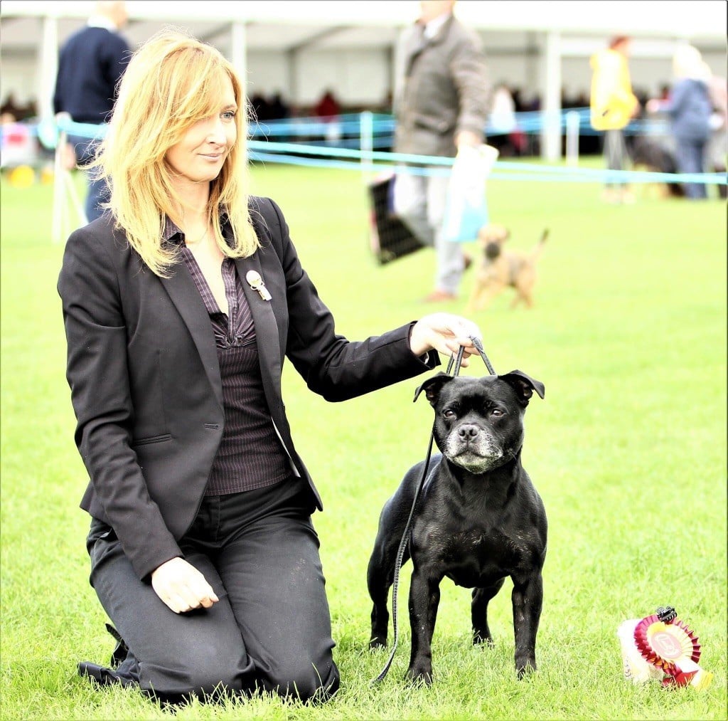 CH. Silver Cross Elvira dark profile - 1st Vétéran Bitch + BEST Vétéran + CRUFTS 2018 Qualified